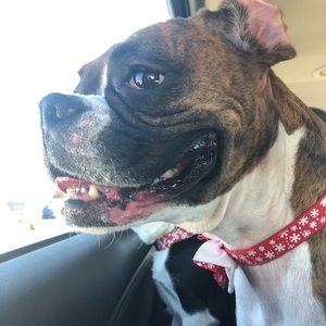 Meet your Posher, Ryleigh